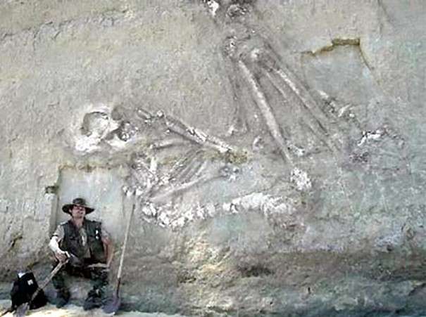 Правдивы ли фотографии больших человеческих скелетов?
