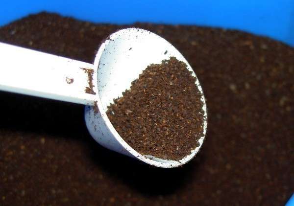 Подходящая для скраба кофейная гуща должна быть снята от крепко заваренного кофе