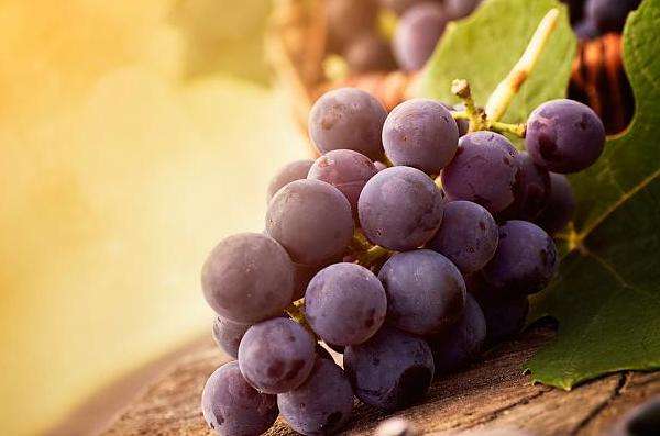 Зеленый и темный виноград имеют одинаковую калорийность