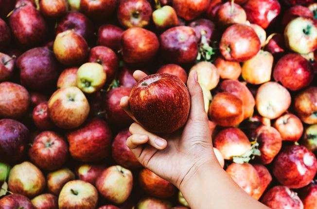 Как выбрать сорт яблок: главные тонкости