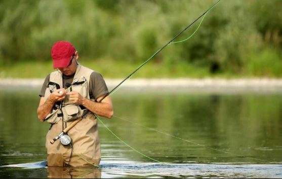 О рыболовстве