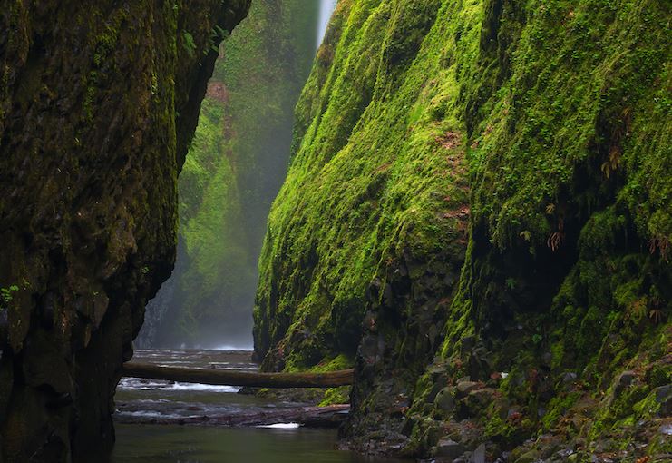 Ущелье Ванонта в штате Орегон