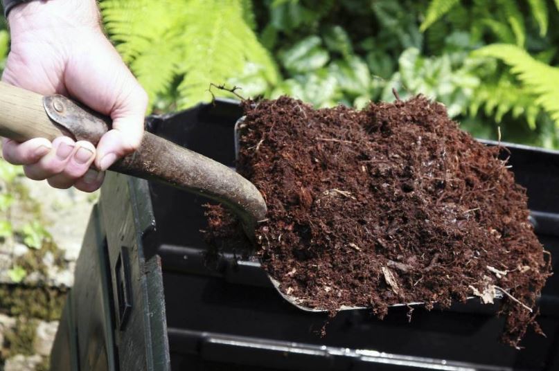 Чем из органики удобрять почву весной?