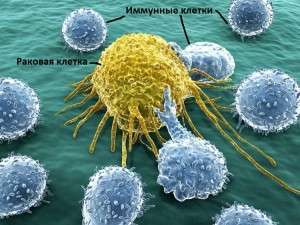 иммунитет и раковое заболевание