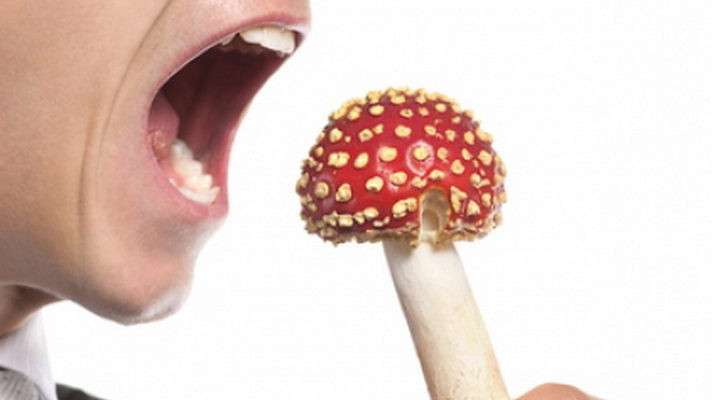 помощь при отравлении грибами