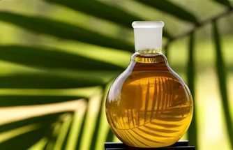 Польза пальмового масла для здоровья