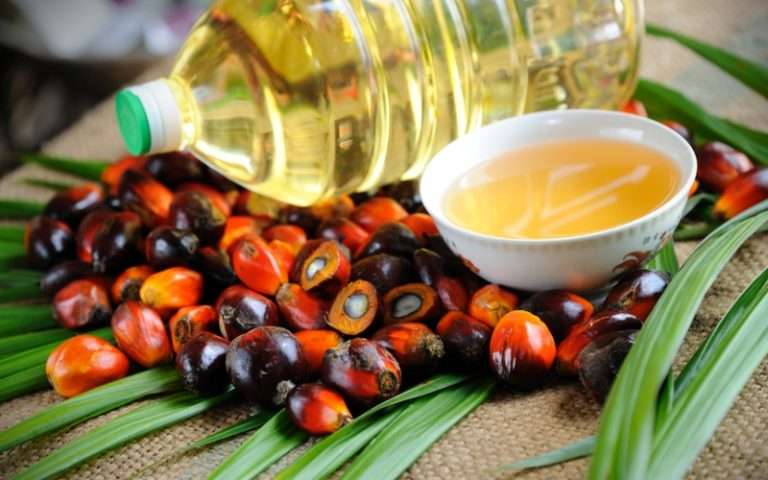 Чем вредно пальмовое масло?