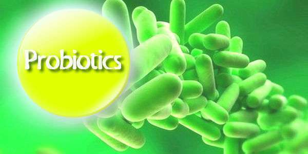 Пробиотики что это такое и что они могут дать