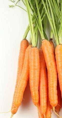 Полезные свойства морковного сока не ограничиваются высоким содержанием бета-каротина