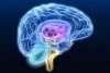Закупорка сосудов головного мозга симптомы — Сердце